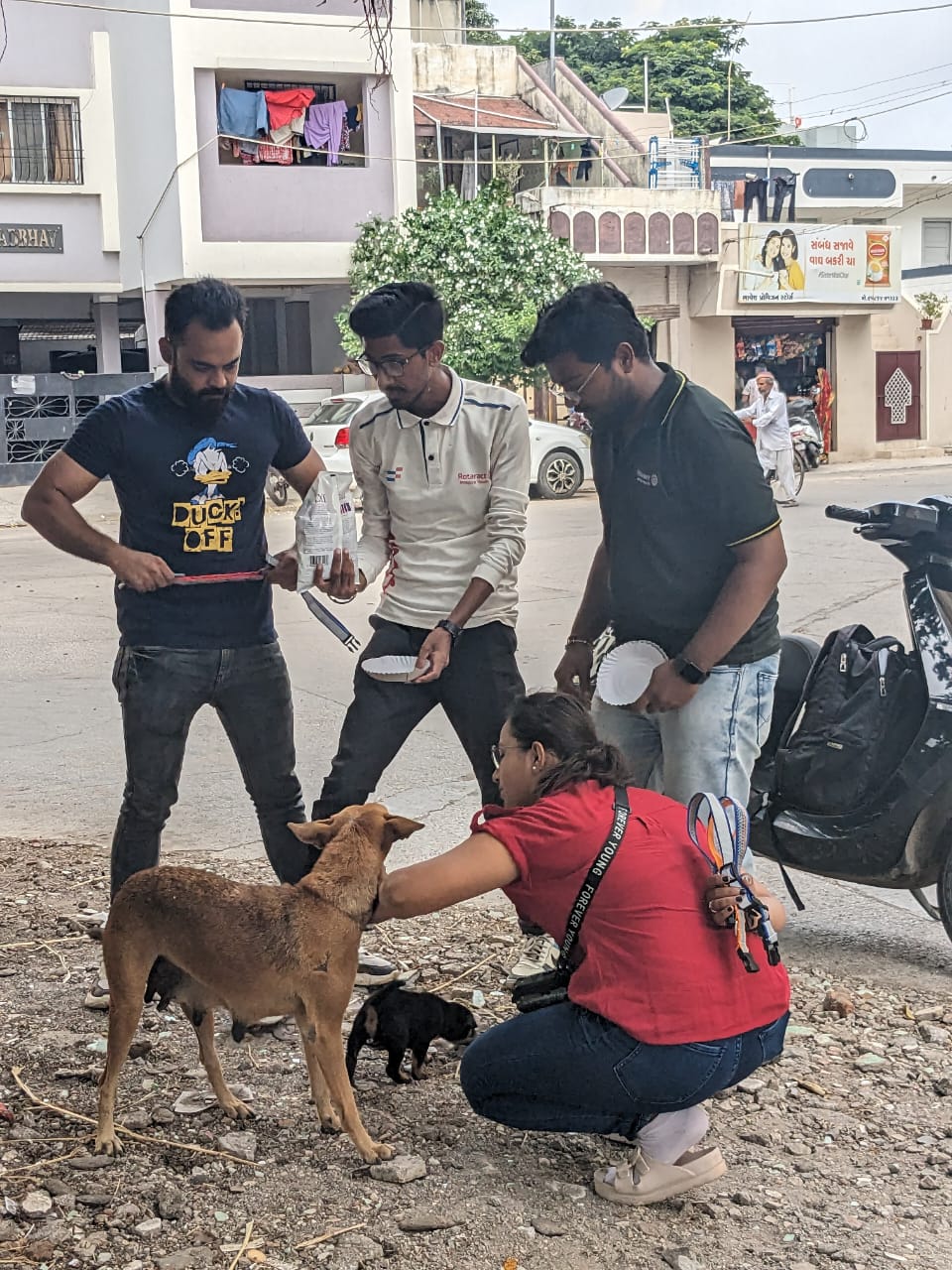 birthday celebration